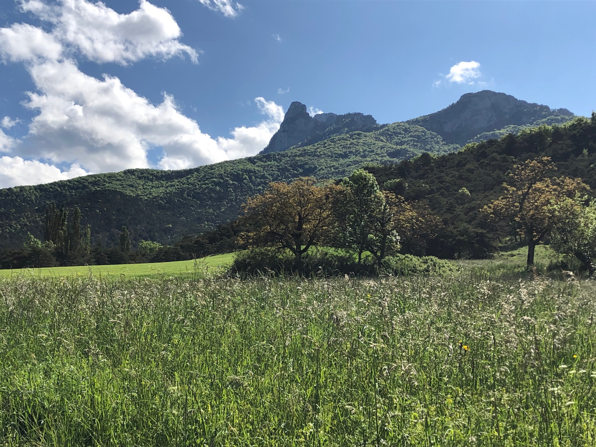 Drôme À la campagne