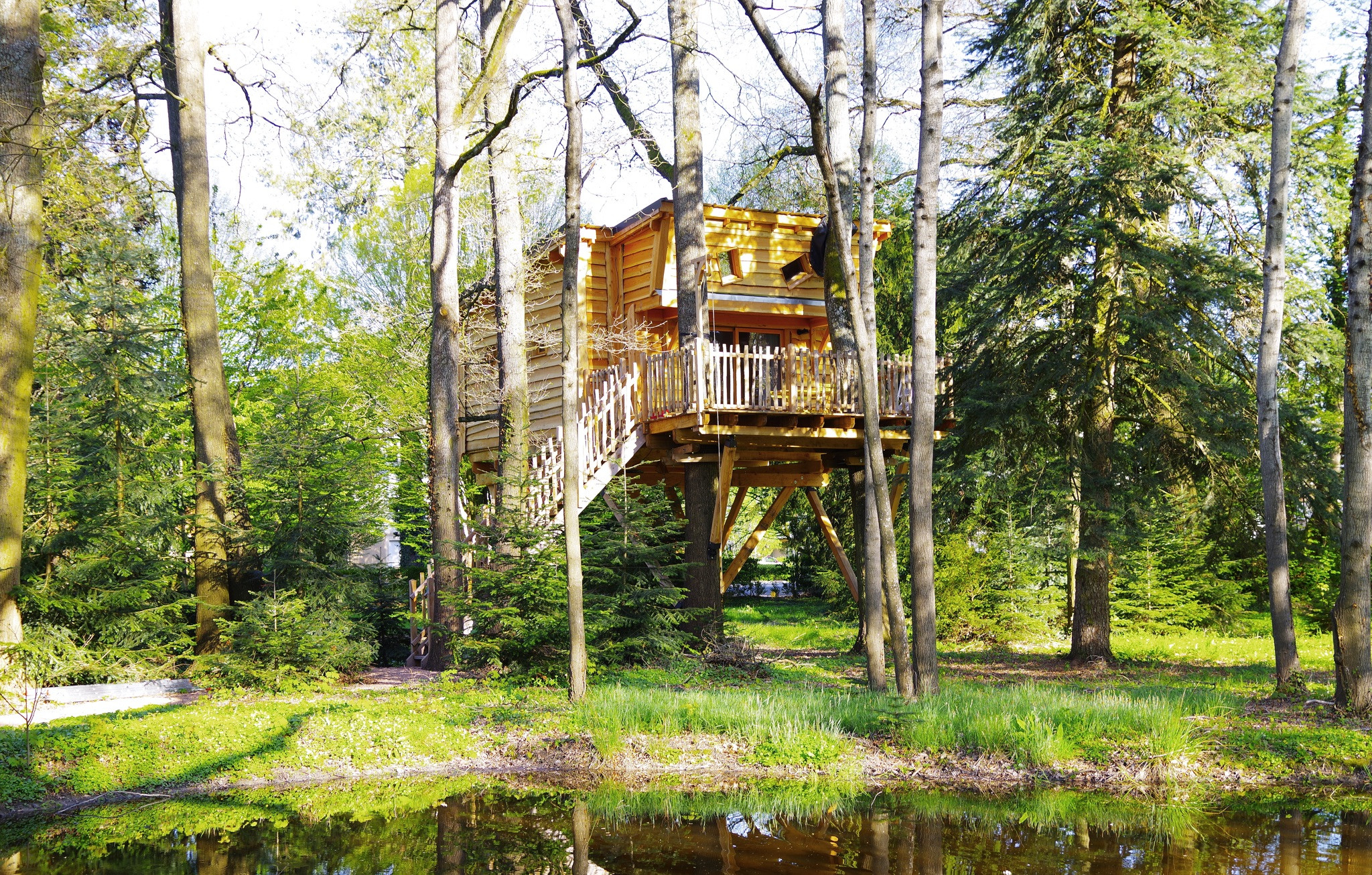 orderedImageAlt_accommodation_default