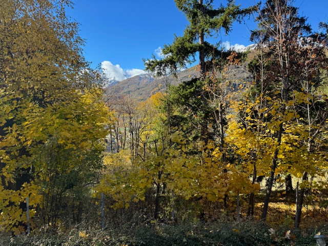 GreenGo Location Provence-Alpes-Côte d'Azur En forêt