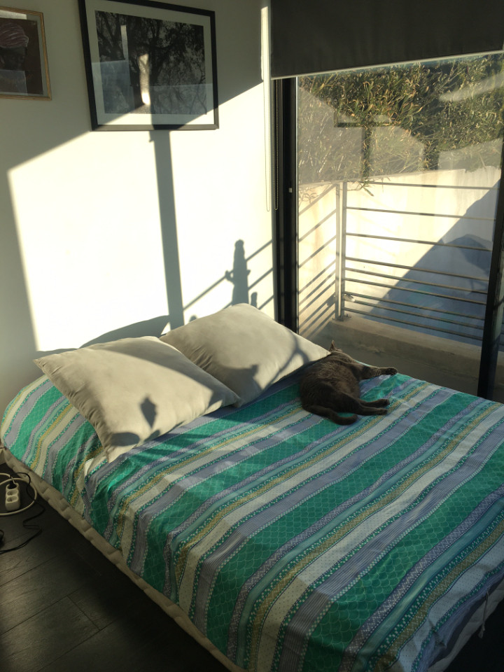 GreenGo Chambre chez l’habitant Provence-Alpes-Côte d'Azur En ville