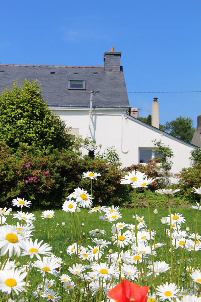  Finistère À la campagne