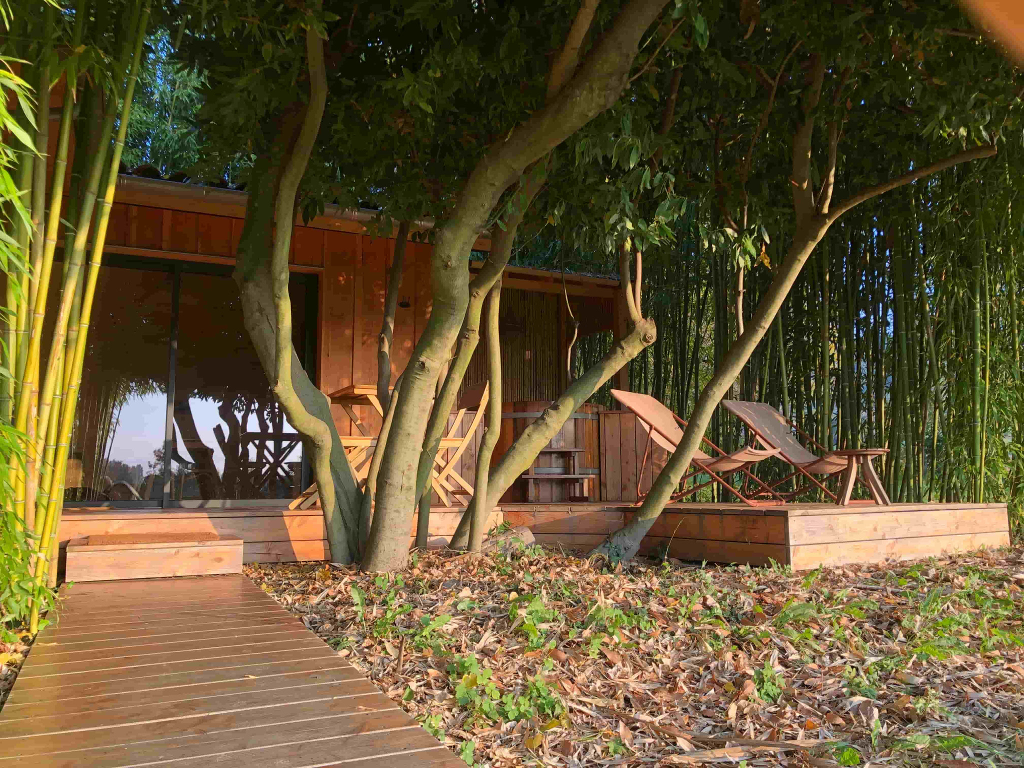Hôte GreenGo: Cabane Spa Bambou