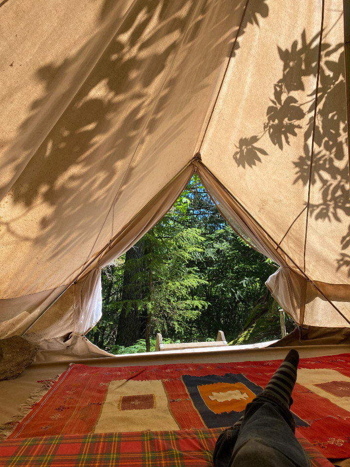 GreenGo location vacances écoresponsables