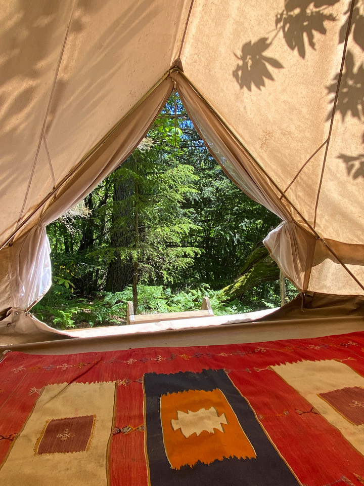 GreenGo Tente Tipi en forêt de châtaigniers