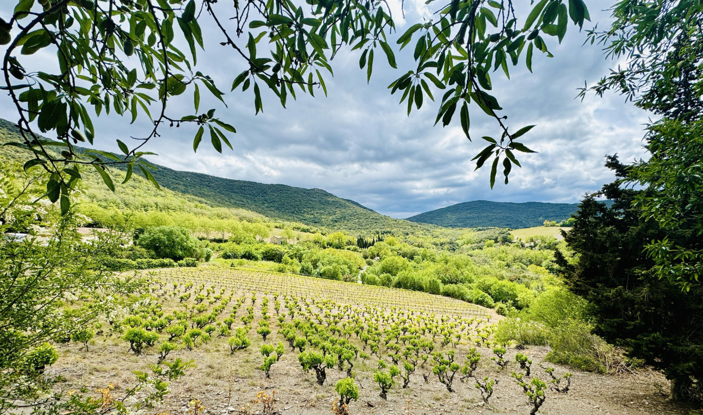GreenGo location vacances écoresponsables