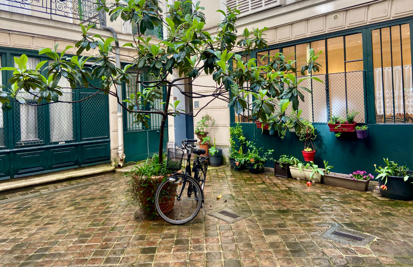 GreenGo Appartement sous les toits