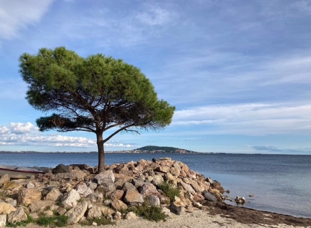Maison vigneronne entre mer et montagne