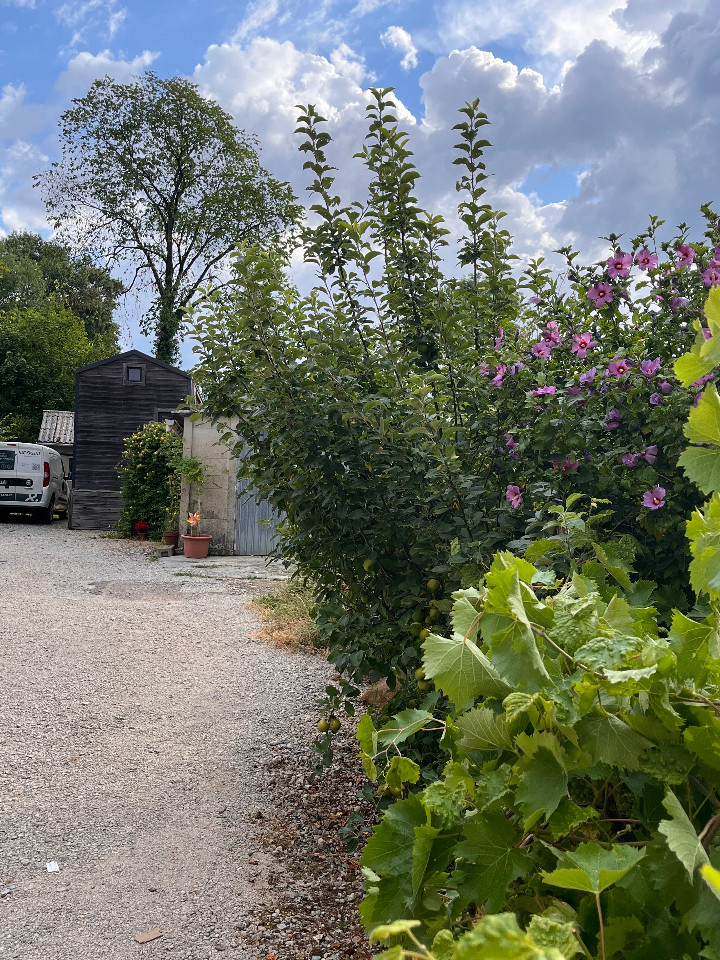 GreenGo location vacances écoresponsables