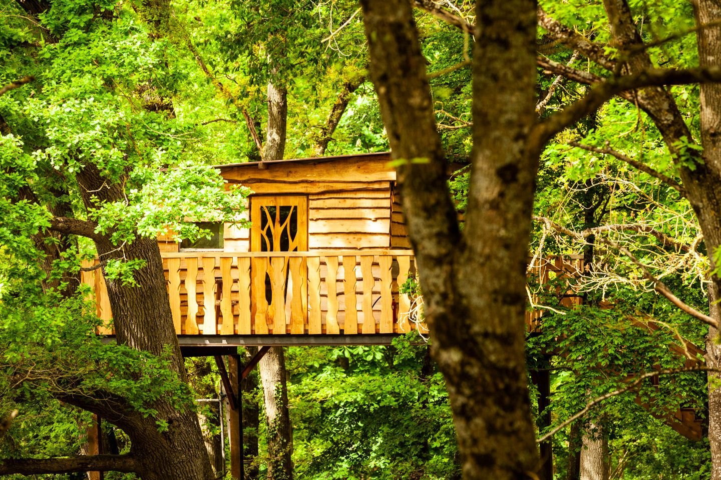 GreenGo location vacances écoresponsables