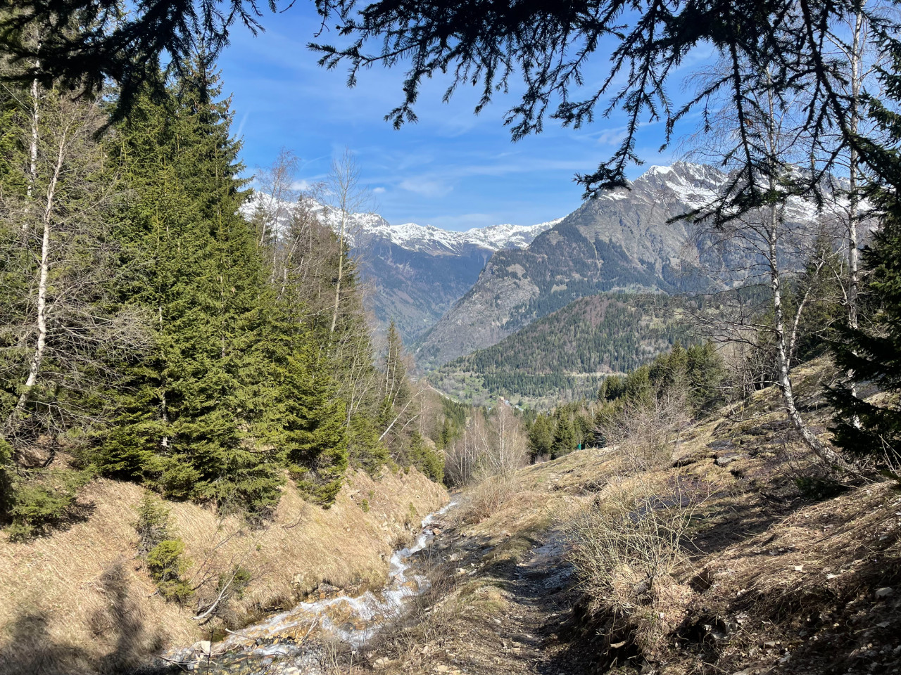  Isère En forêt