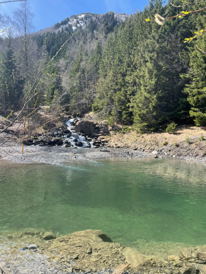  Isère En forêt