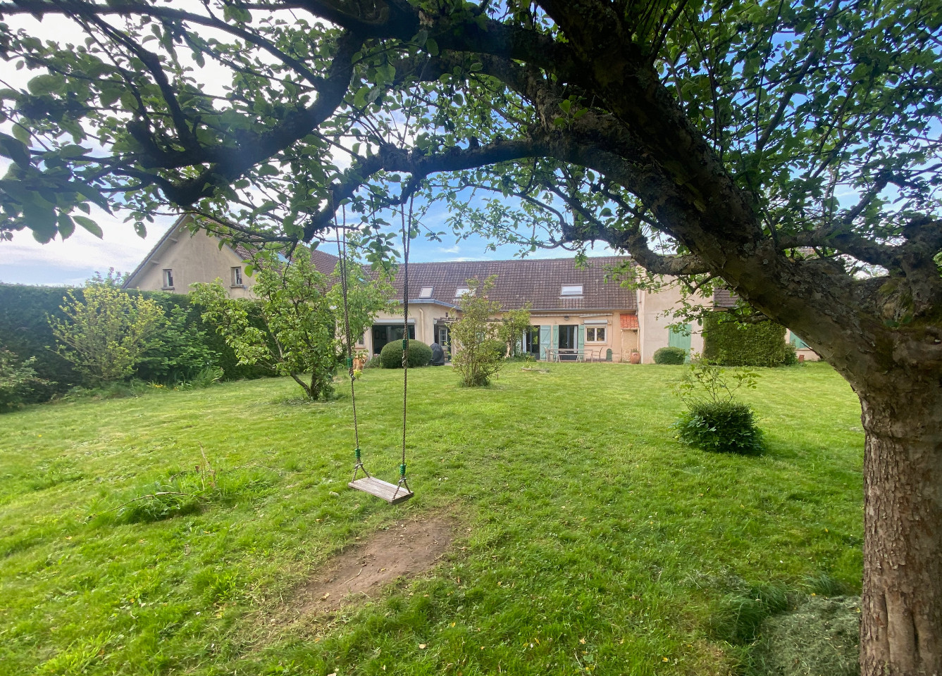 GreenGo L’acanthe
