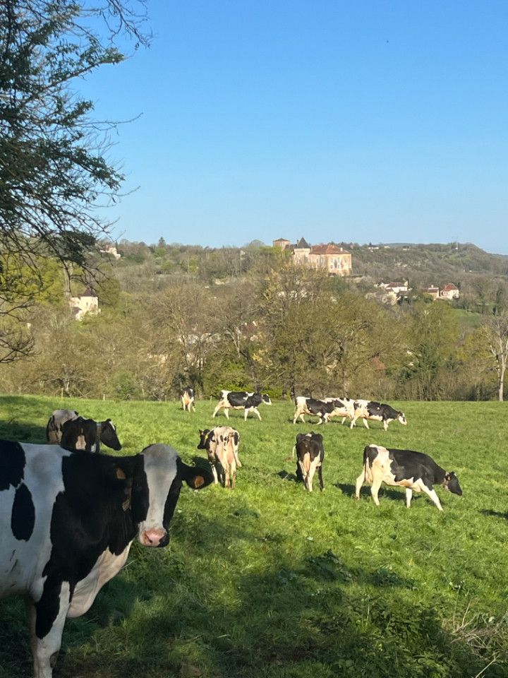 Le gîte des vaches heureuses