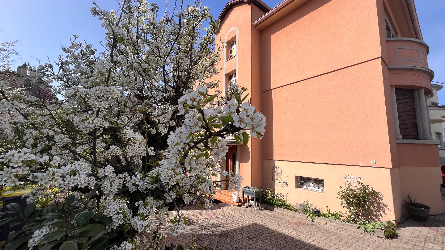 T3 avec Veranda Bureau a Strasbourg