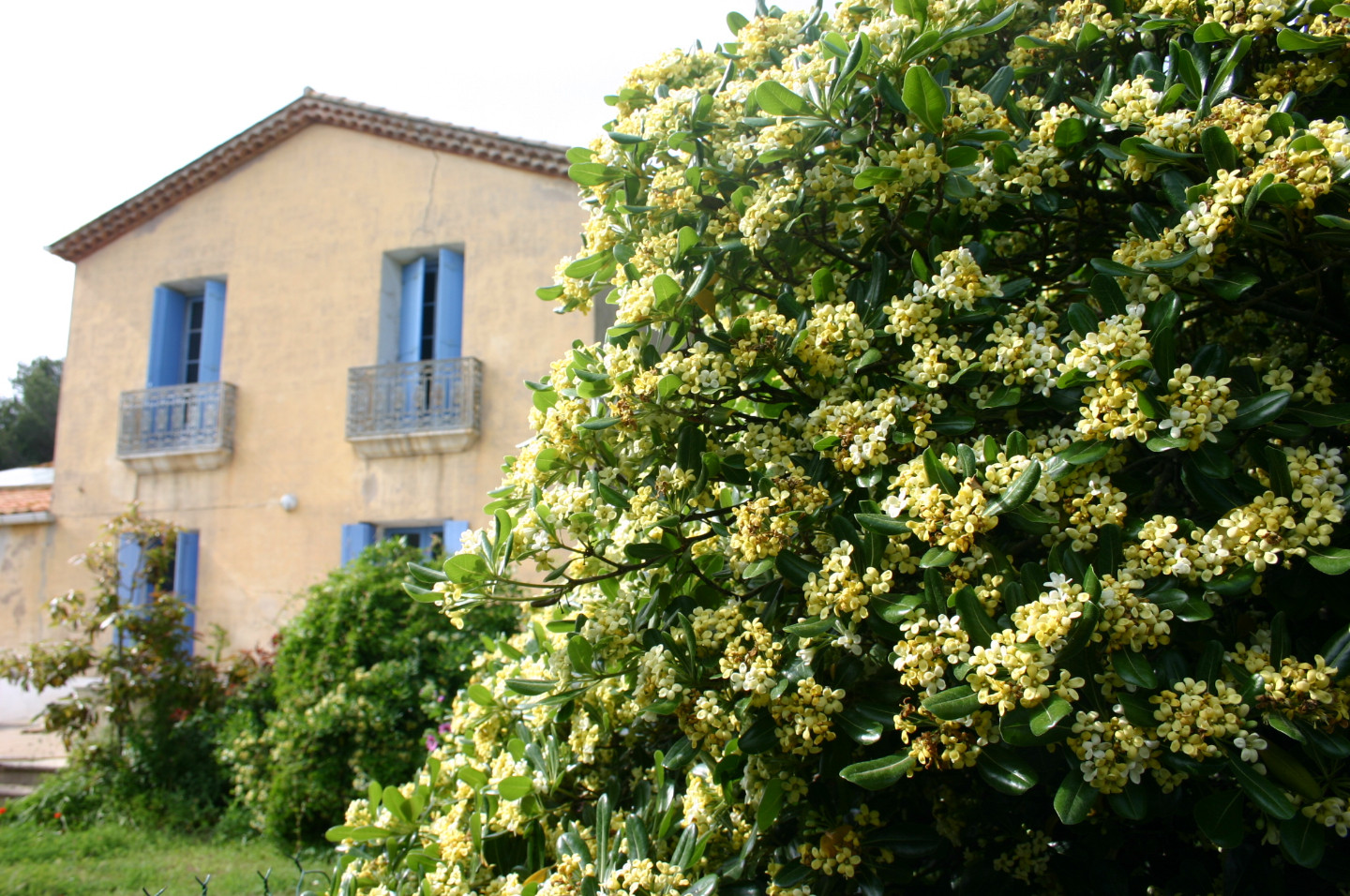 Logement GreenGo: La Ramondiere