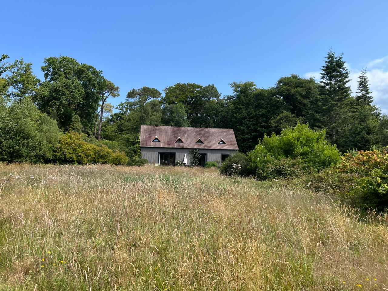 Seine-Maritime En forêt