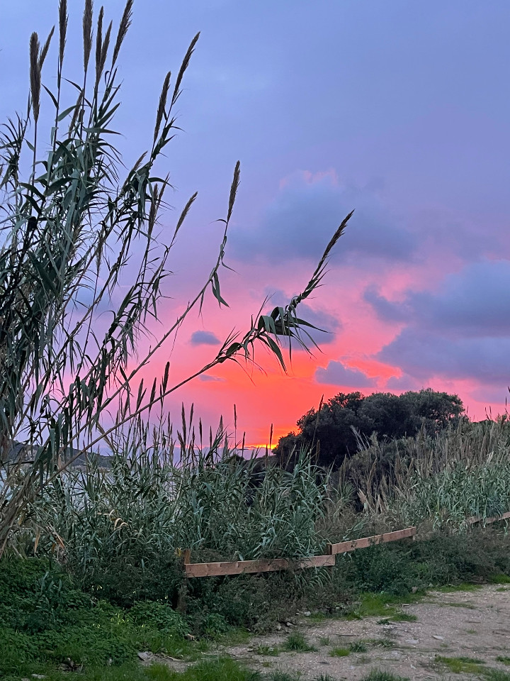 GreenGo location vacances écoresponsables