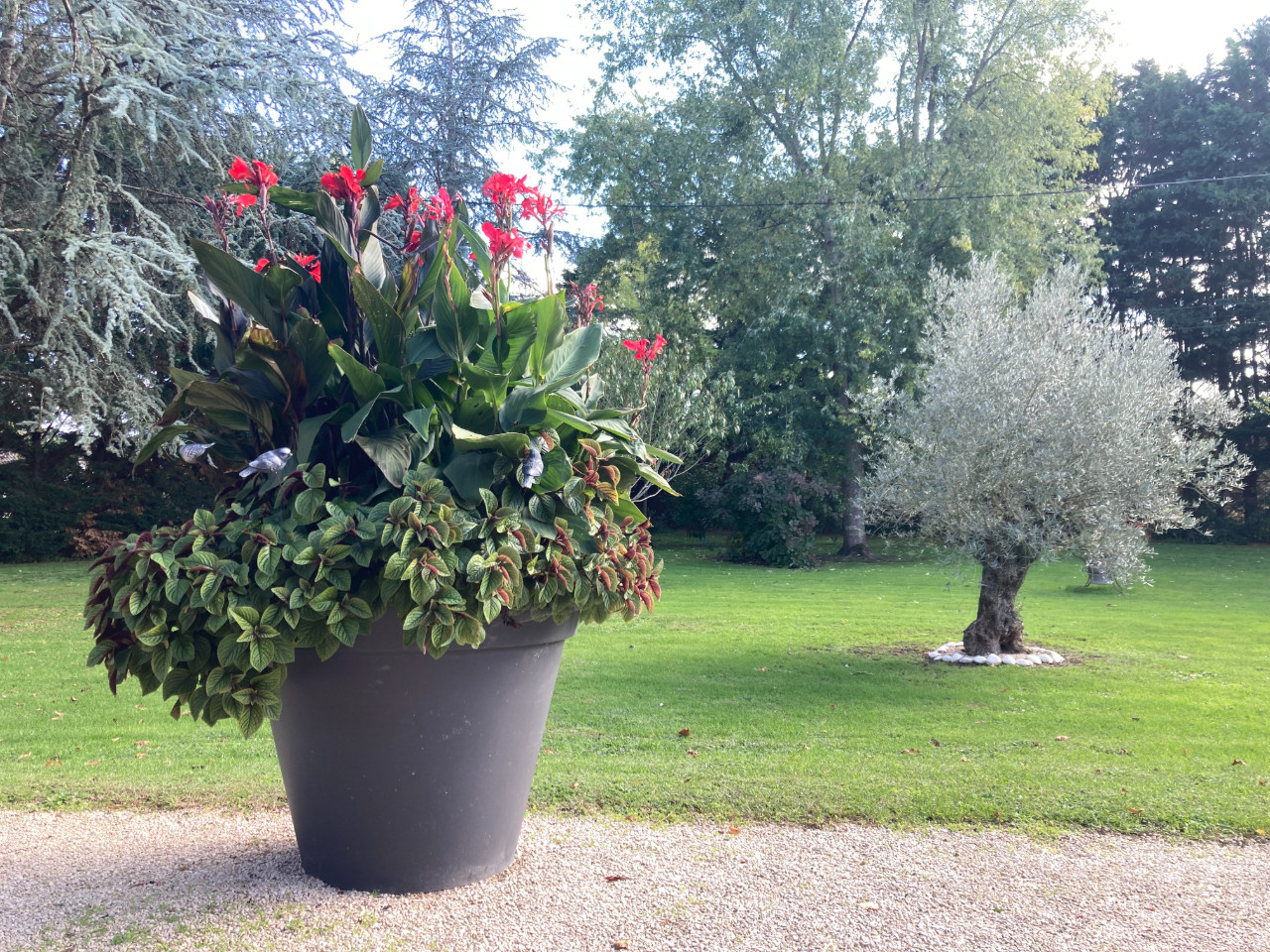 GreenGo Chambre d’hôtes Centre-Val de Loire À la campagne