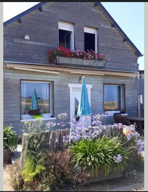 GreenGo Les Chardons Bleus