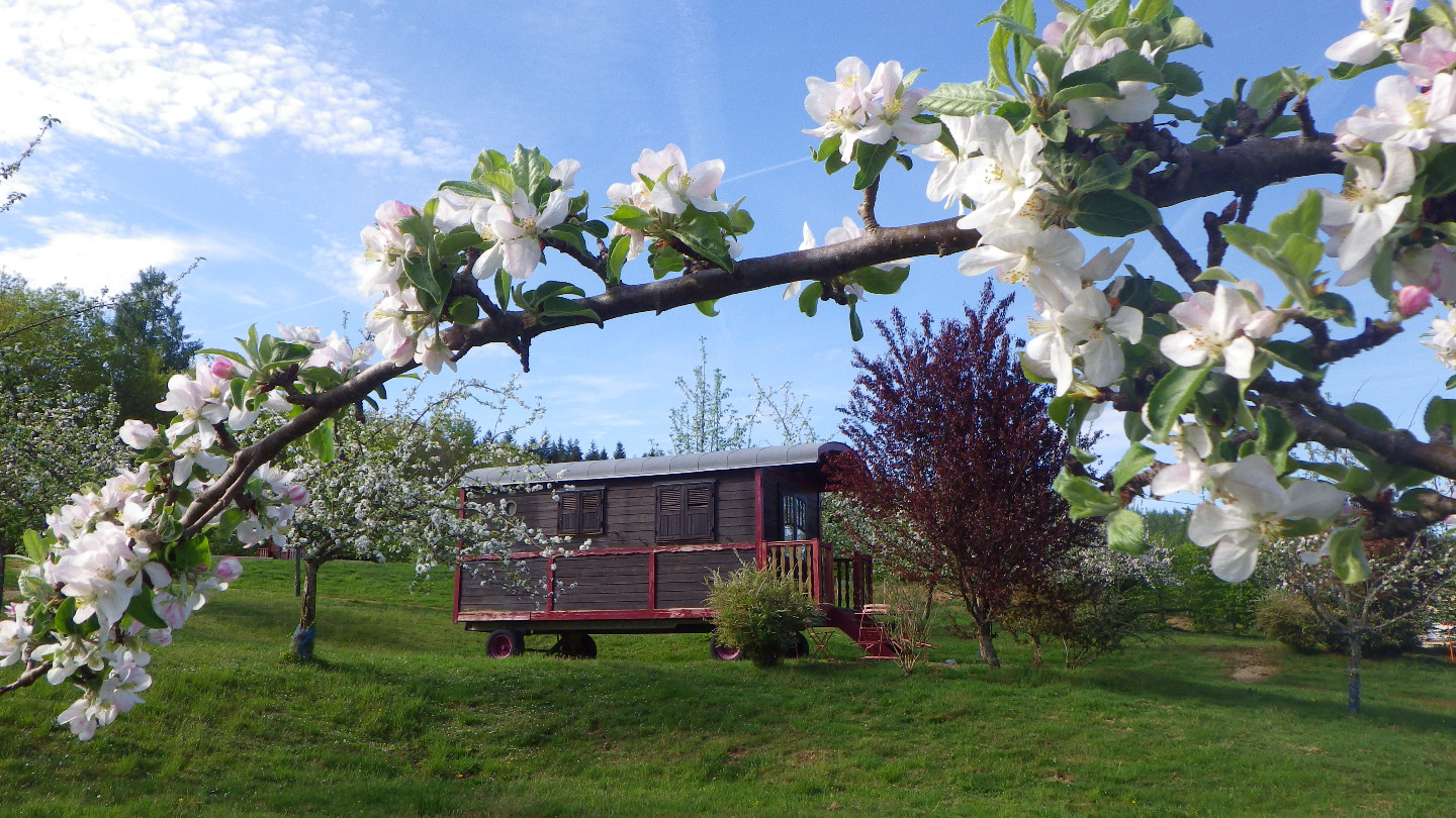 orderedImageAlt_accommodation_default