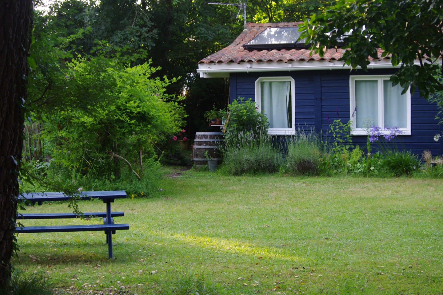 orderedImageAlt_accommodation_default