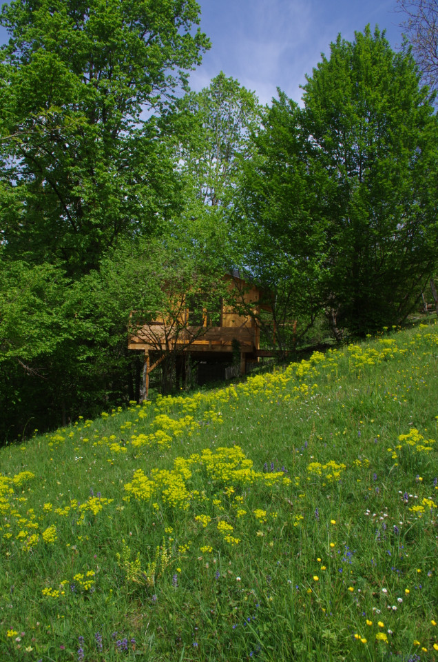 Hôte GreenGo: La cabane aux rêves