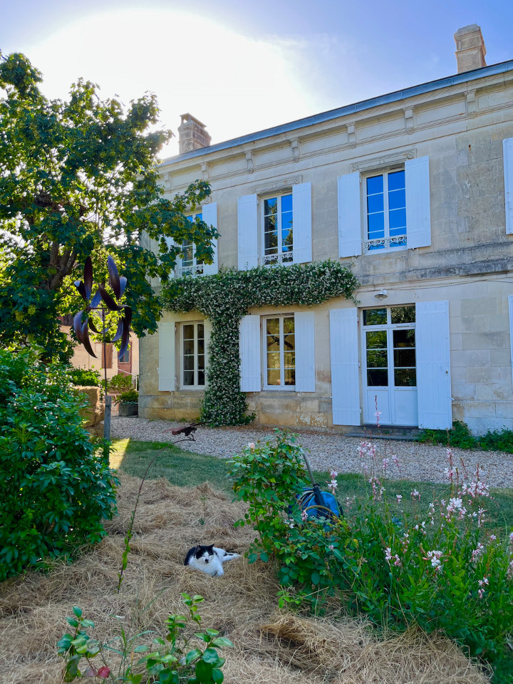 Chez Mathé: longère charentaise-150m2-6per