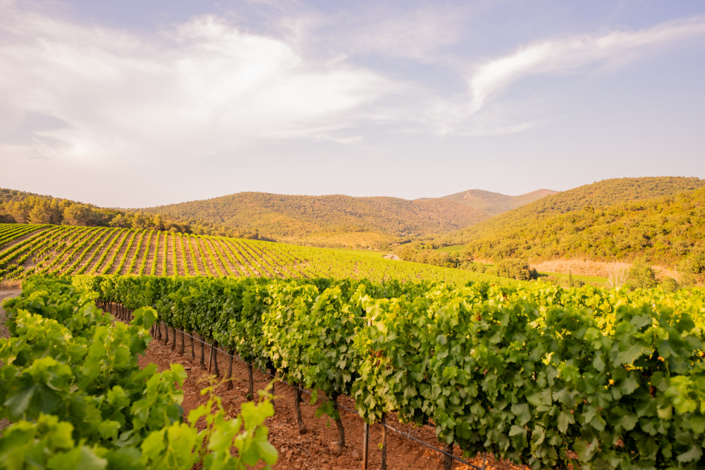 Location Var Haut-de-gamme