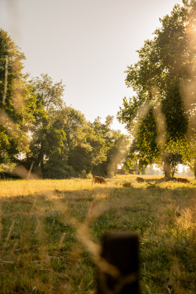 Location Gironde À la campagne