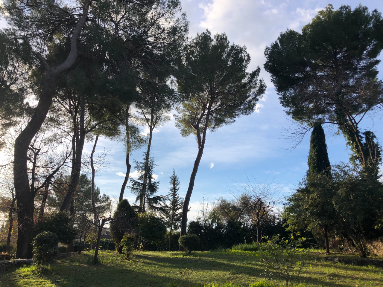 GreenGo location vacances écoresponsables