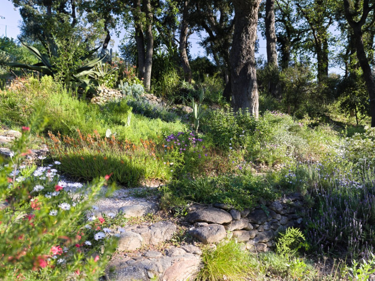 Gîte le Jardin des Albères à Argeles sur mer