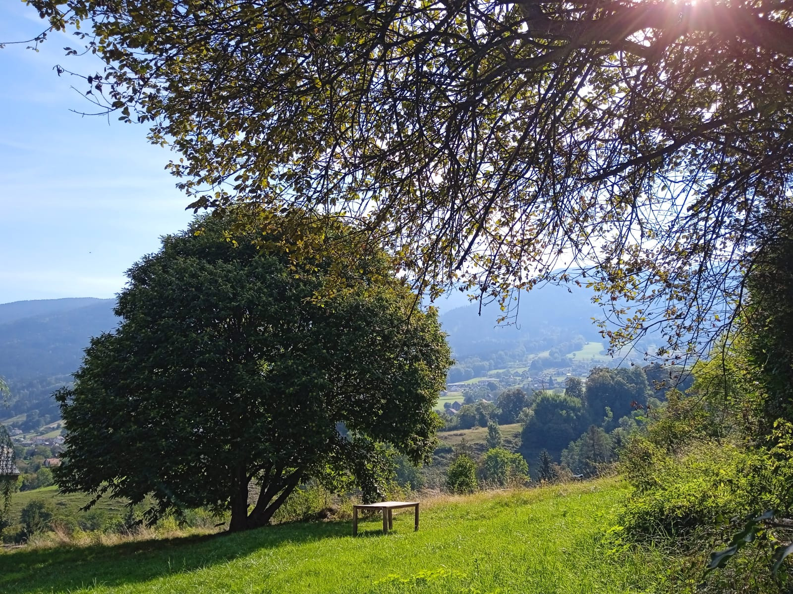 GreenGo location vacances écoresponsables