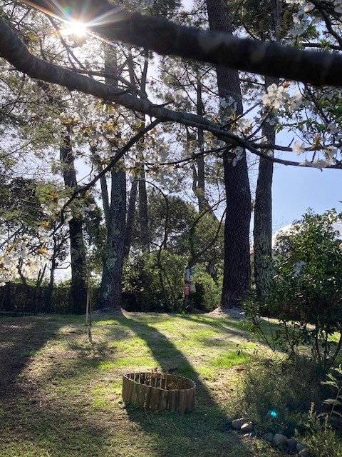 Landes À la campagne