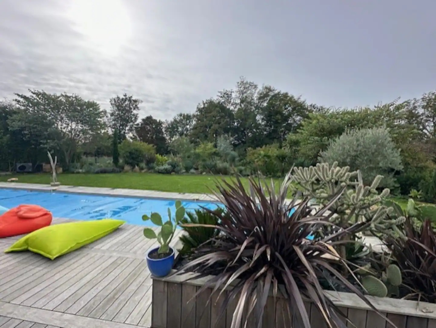 GreenGo Le studio d'Alice et son oasis