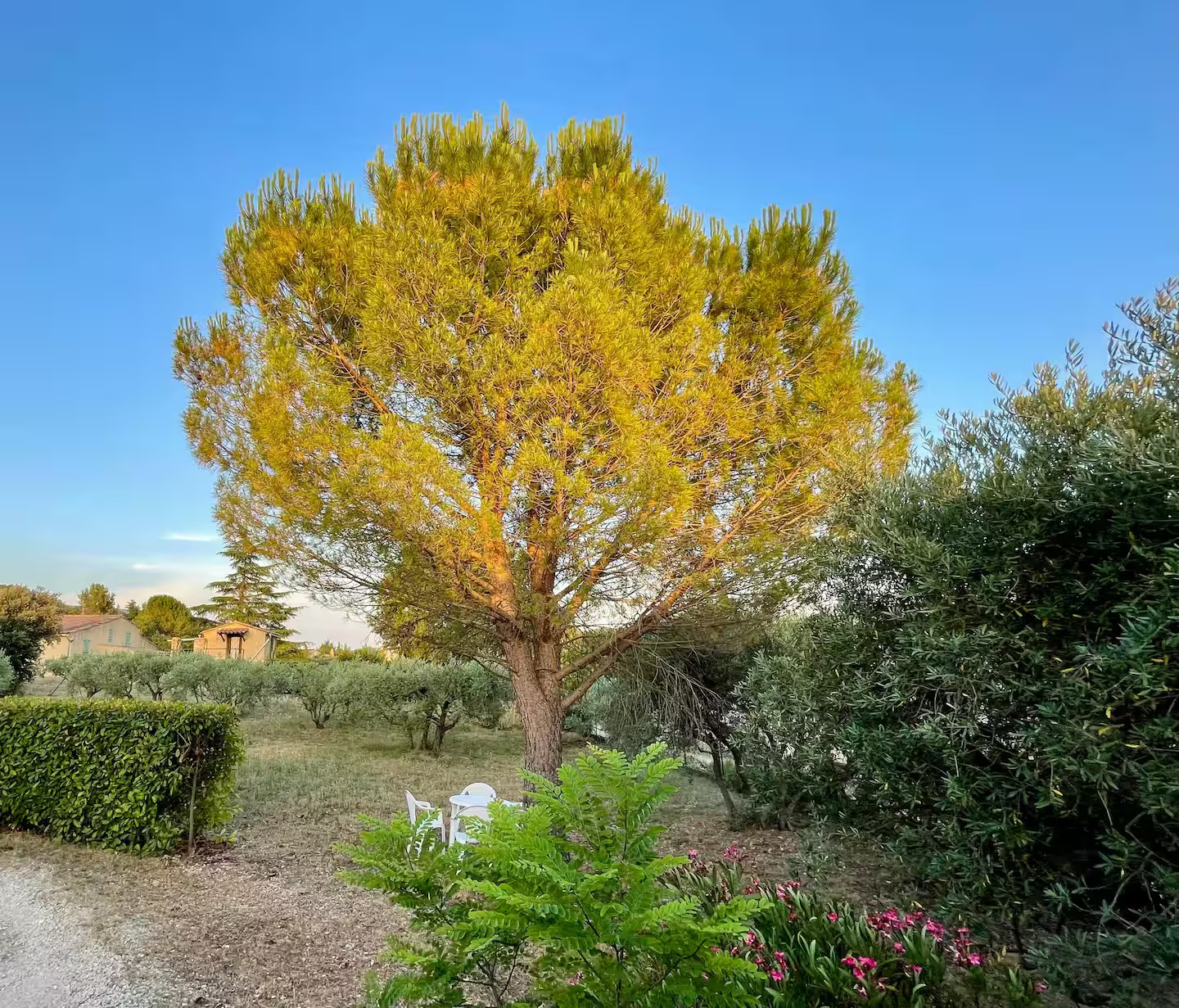 GreenGo Location Provence-Alpes-Côte d'Azur À la campagne