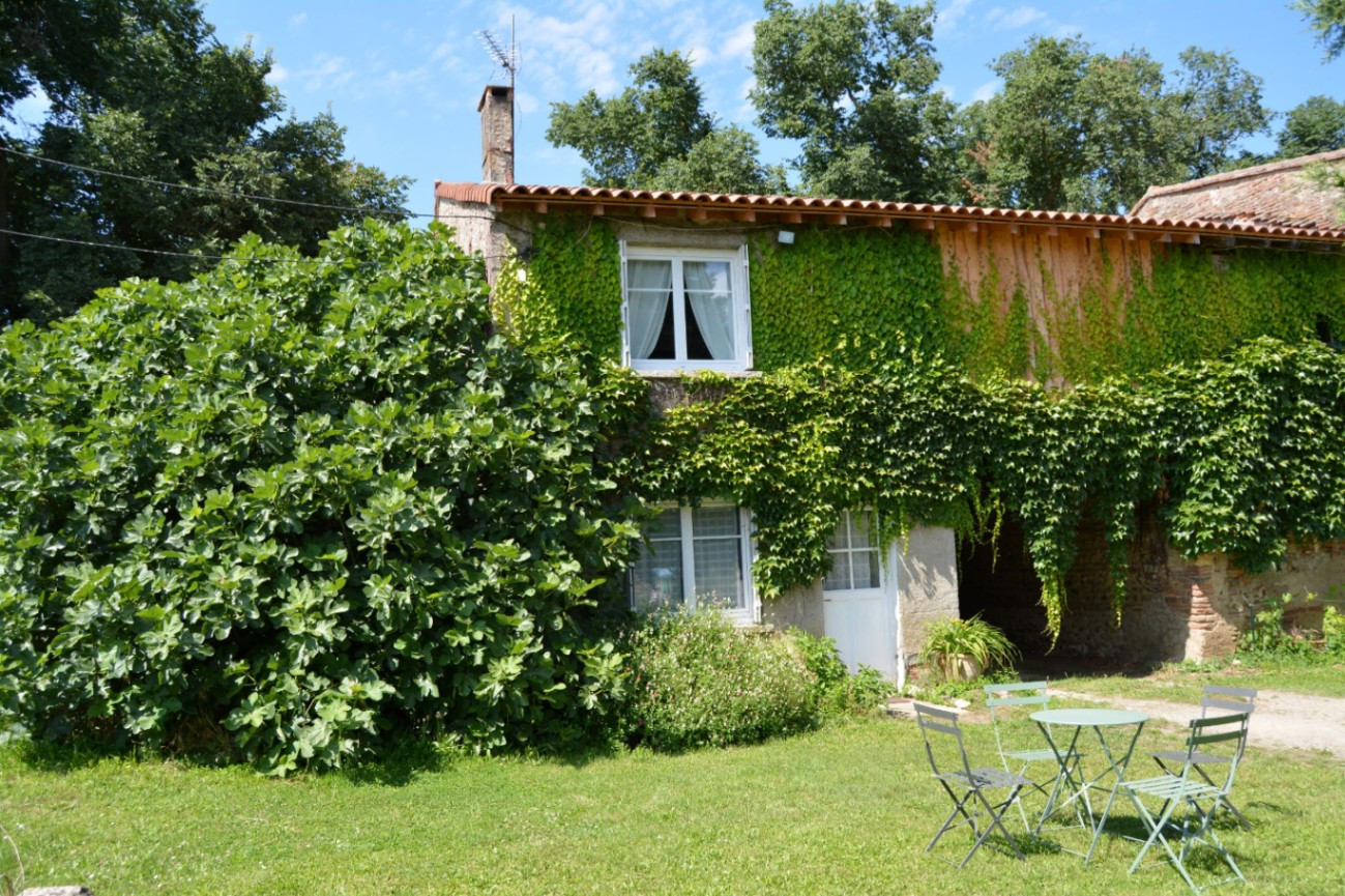 Gîte rural et familial de Palosse, délices aux noisettes