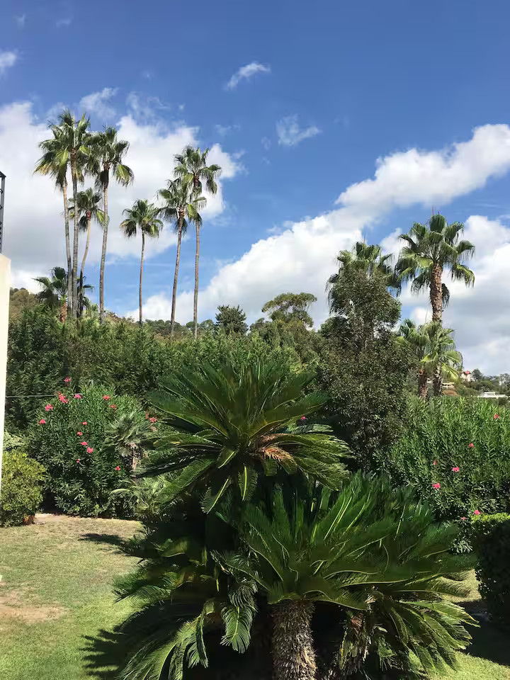 GreenGo Location Provence-Alpes-Côte d'Azur Évasion