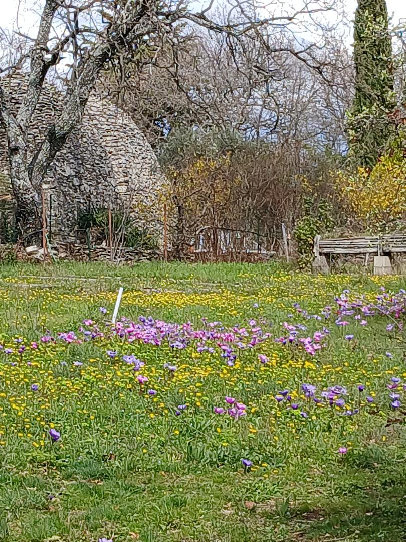 GreenGo Gîte Provence-Alpes-Côte d'Azur Évasion
