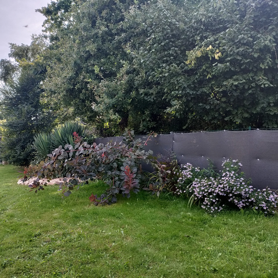 Logement GreenGo: Chez Mislou