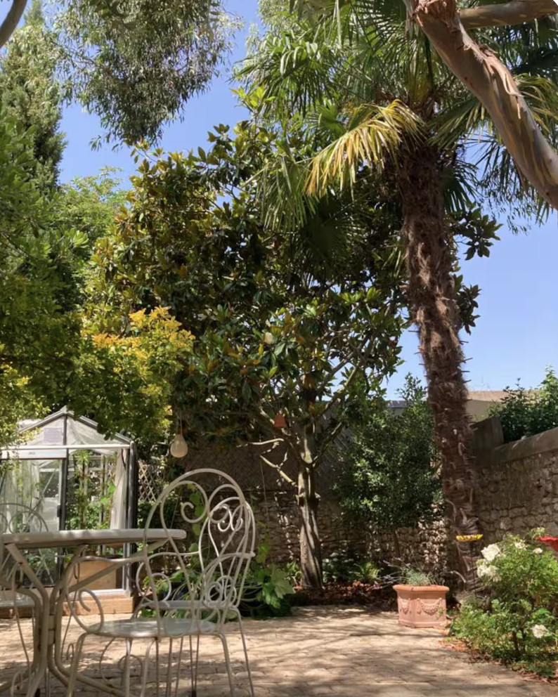 Maison design et son jardin exotique