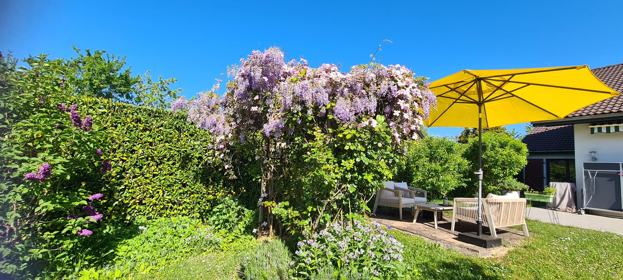 Maison entière avec jardin fleuri, parkings gratuits et deux chats !