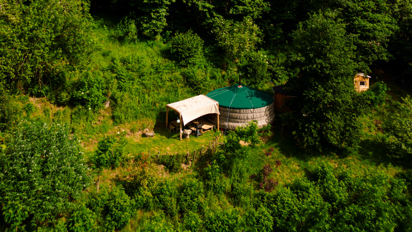 Les songes du chêne