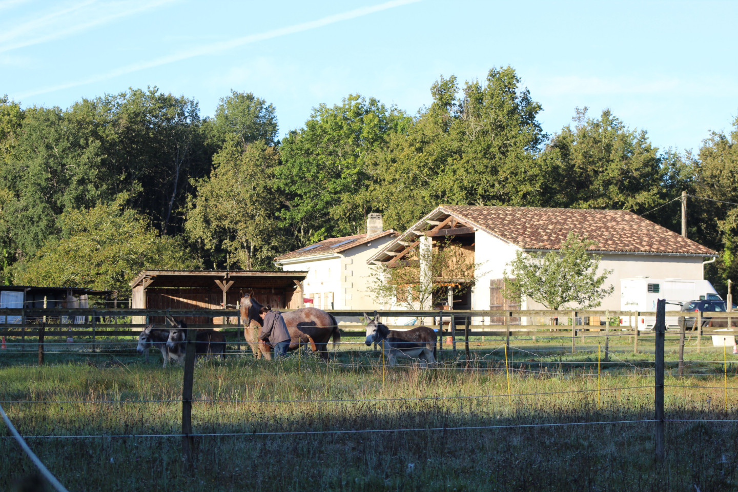  Gironde À la campagne