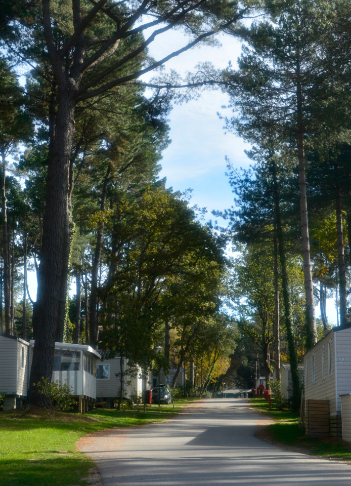 GreenGo Une douce ambiance un confort moderne