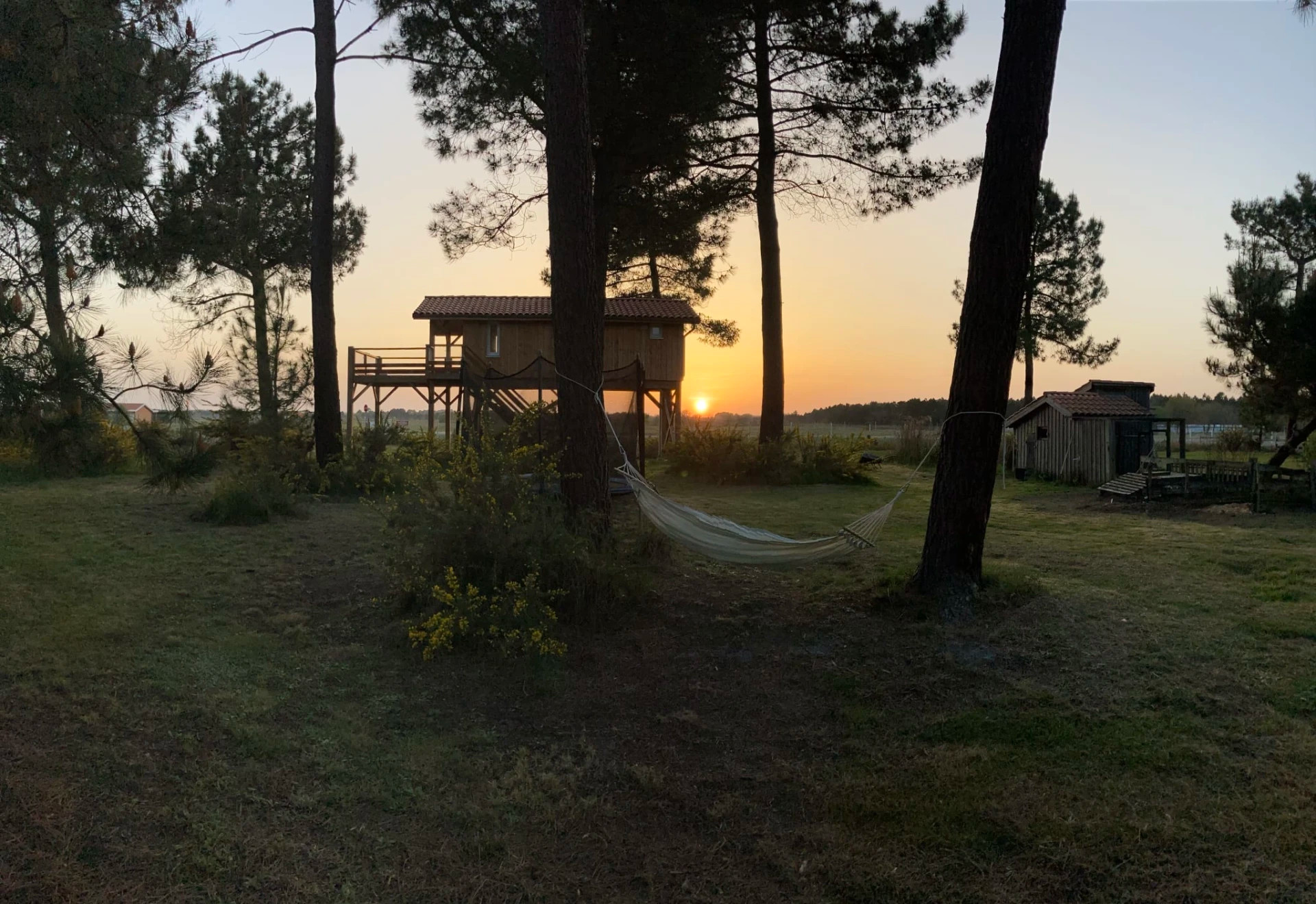 orderedImageAlt_accommodation_default