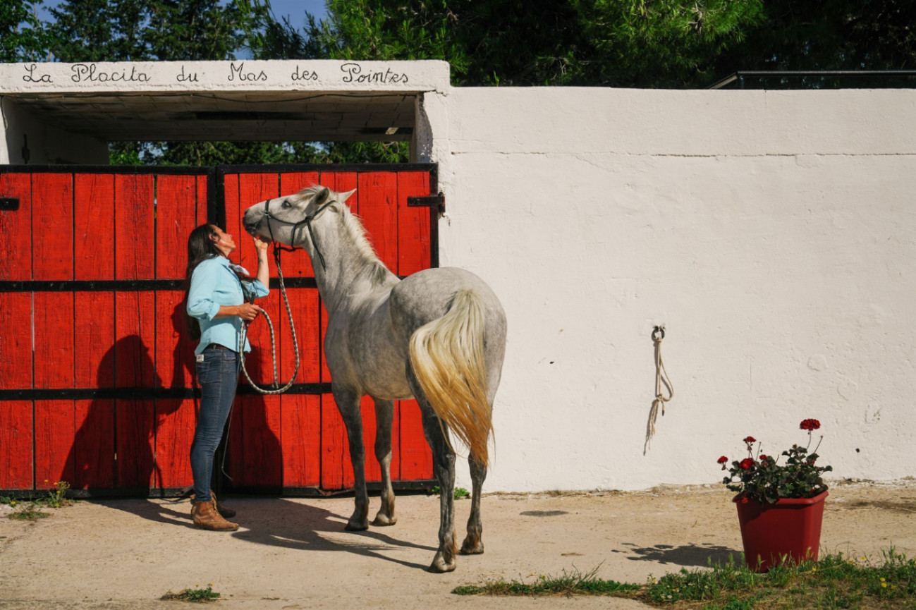 Gite l'atelier en Camargue