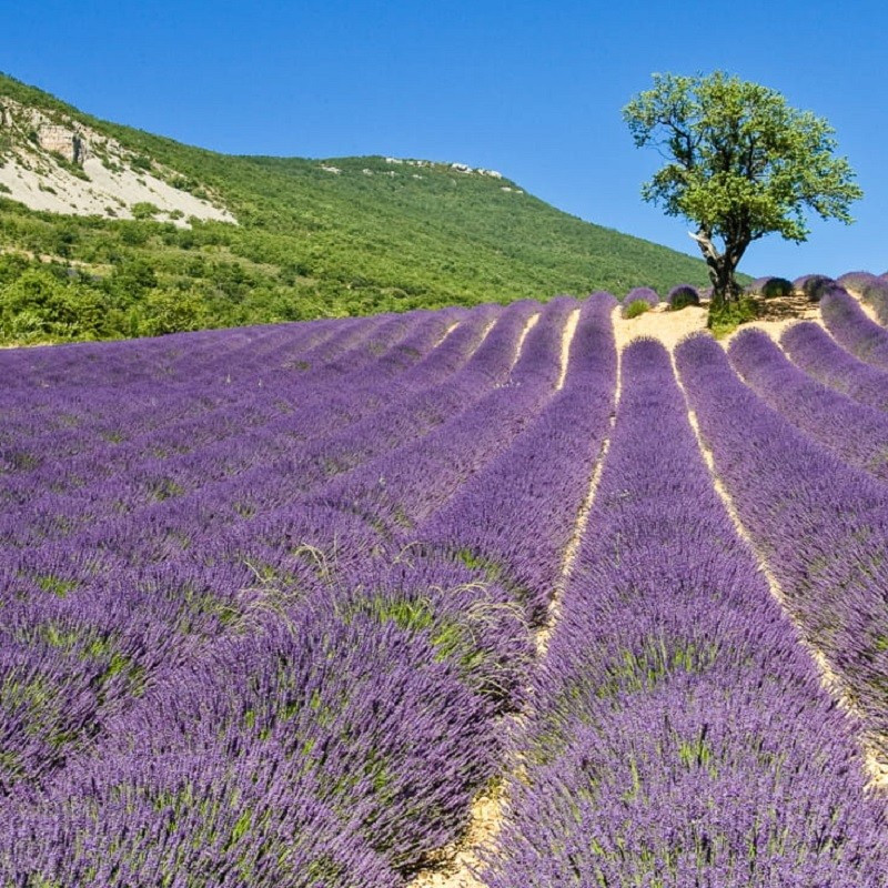 GreenGo Location Auvergne-Rhône-Alpes À la campagne