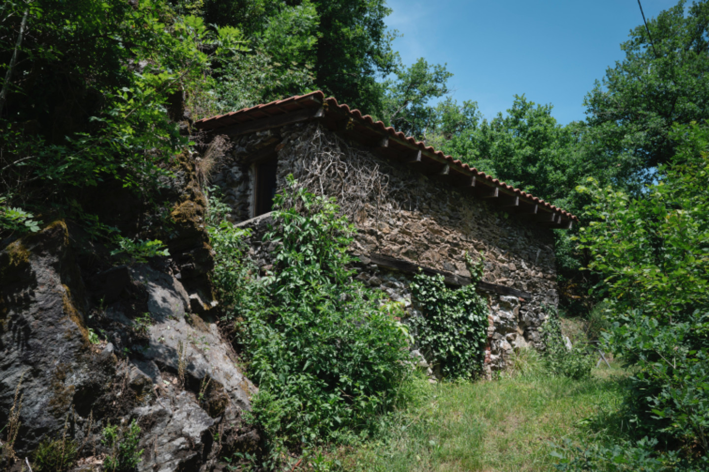 orderedImageAlt_accommodation_default