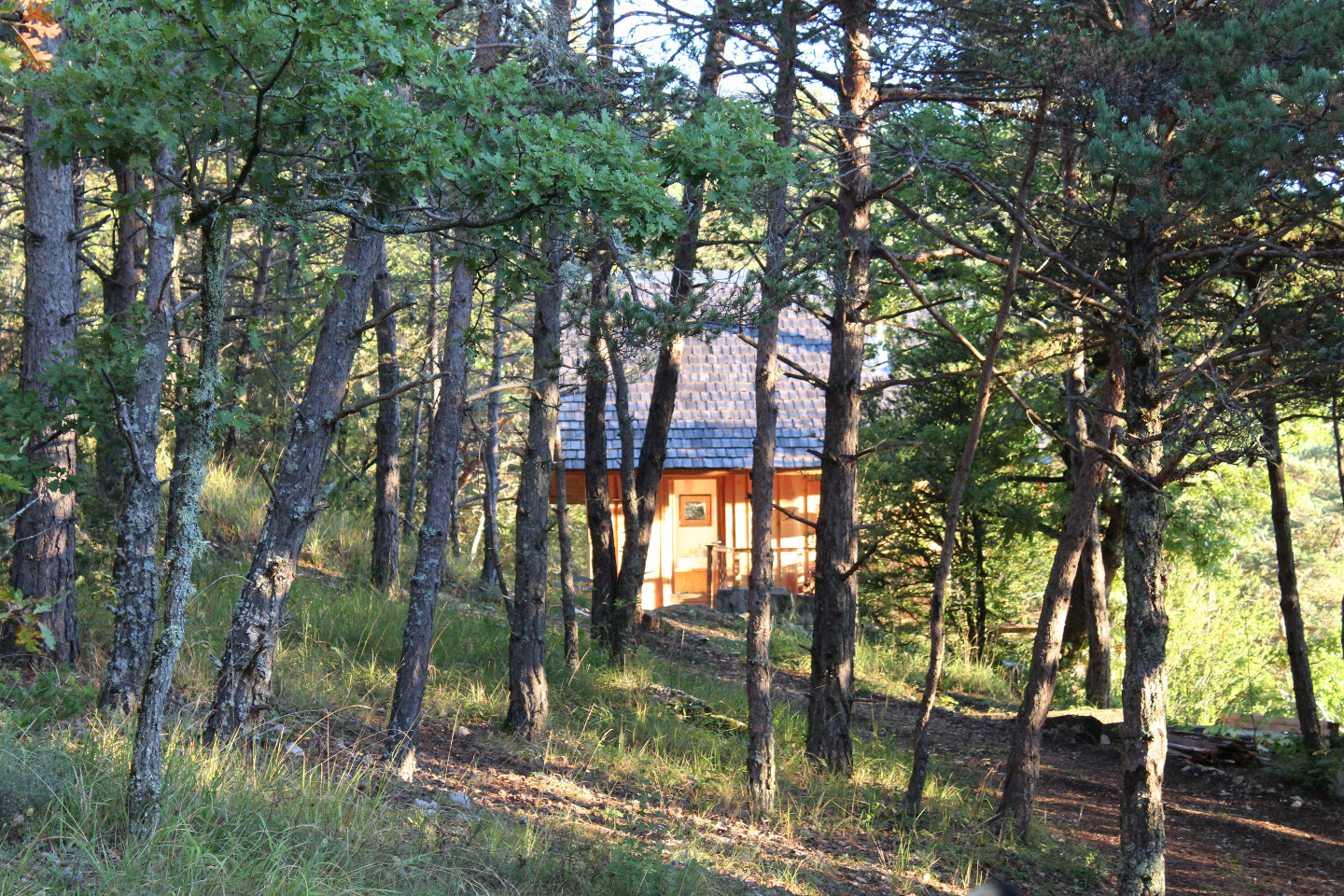 GreenGo La Cabane du Bois