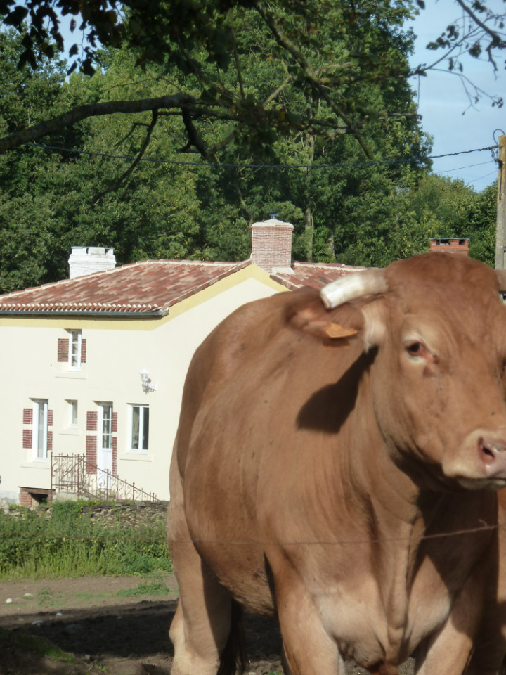 Location Vendée Haut-de-gamme